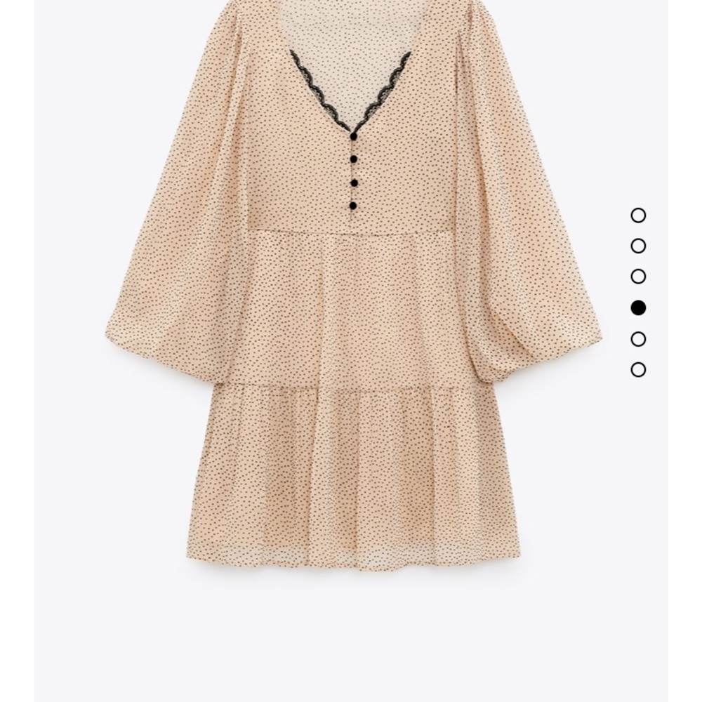 Zara Polka Dot Dress